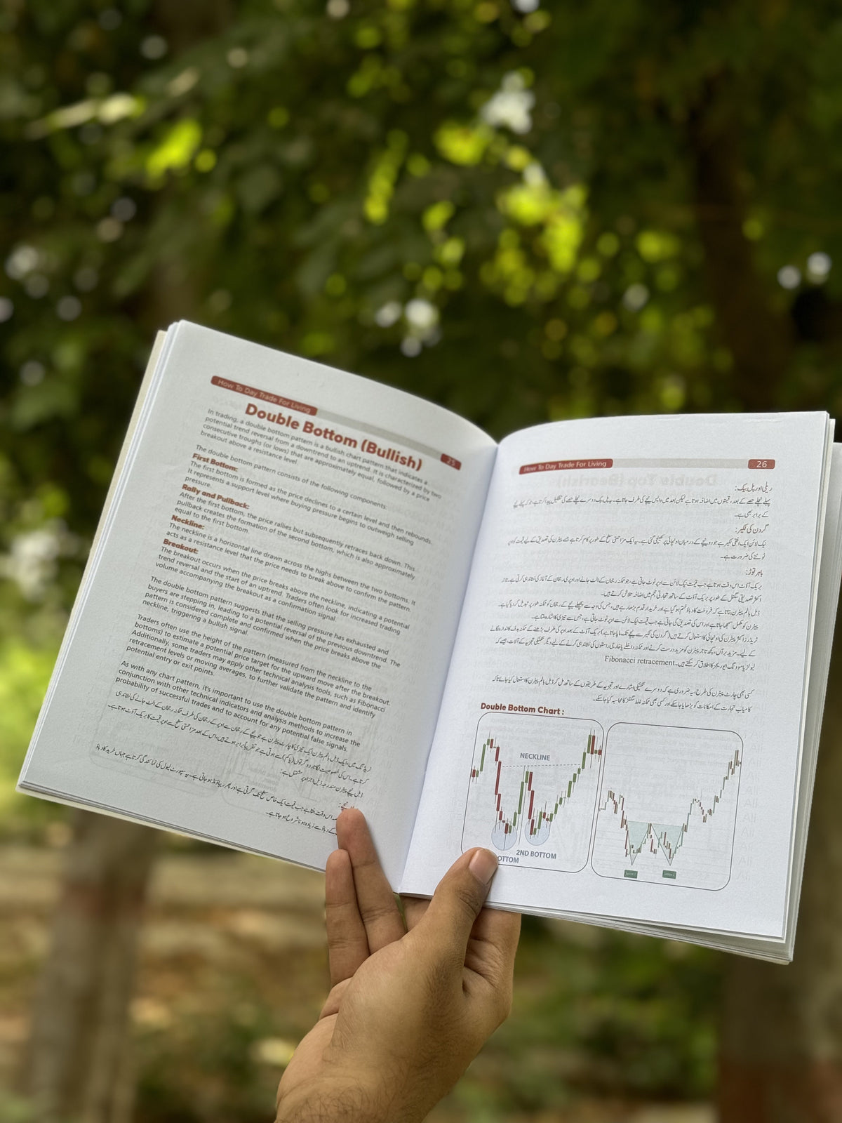 How To Day Trade For Living Book - My Store