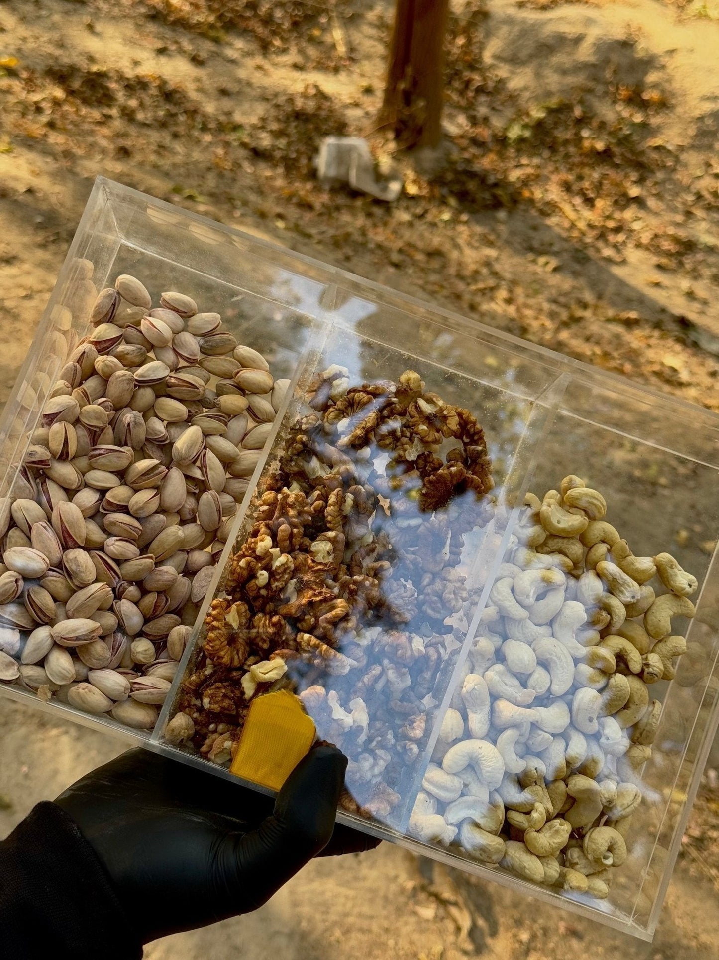 PREMIUM DRY FRUITS BOX๐ (40 % OFF) - My Store